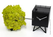 Дизайнерские часы настольные Progetti Birdwatching Clock